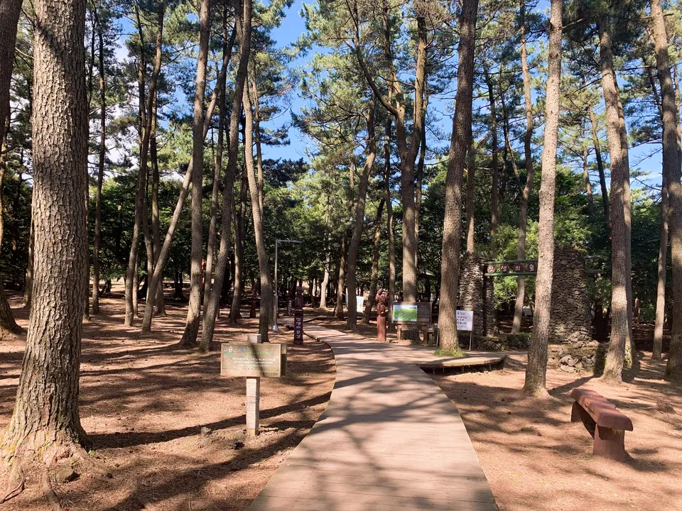 절물자연휴양림 장생의 숲 입구와 산책로
