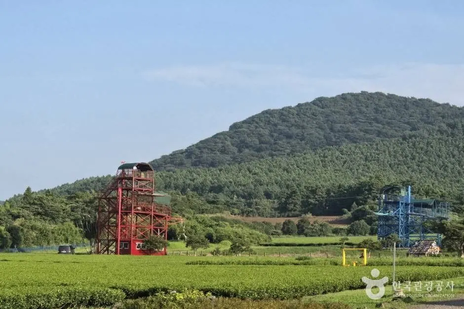 제주라프 야외 짚라인 체험시설