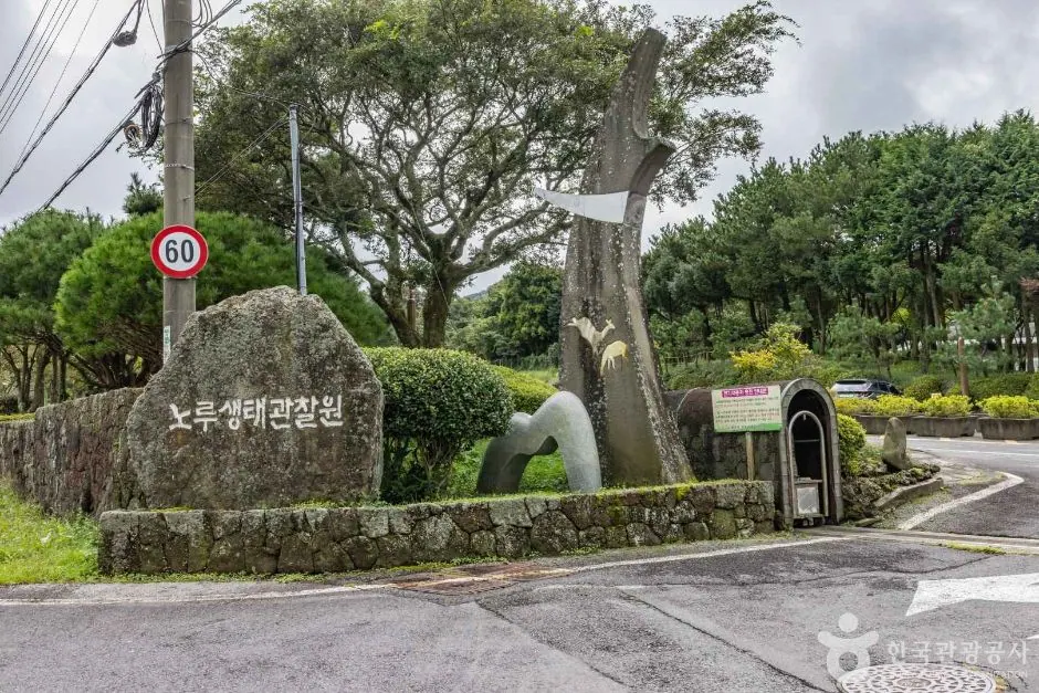 노루생태관찰원 진입부 · 촬영일 미상 자료사진