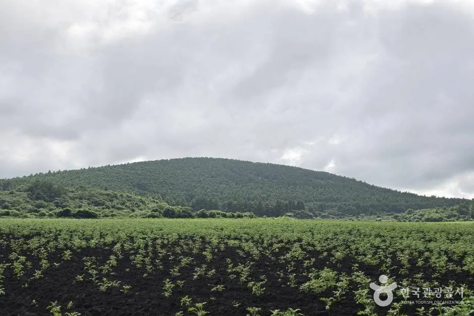 Moji Oreum Volcanic Cone · 拍攝日期不詳的資料照片