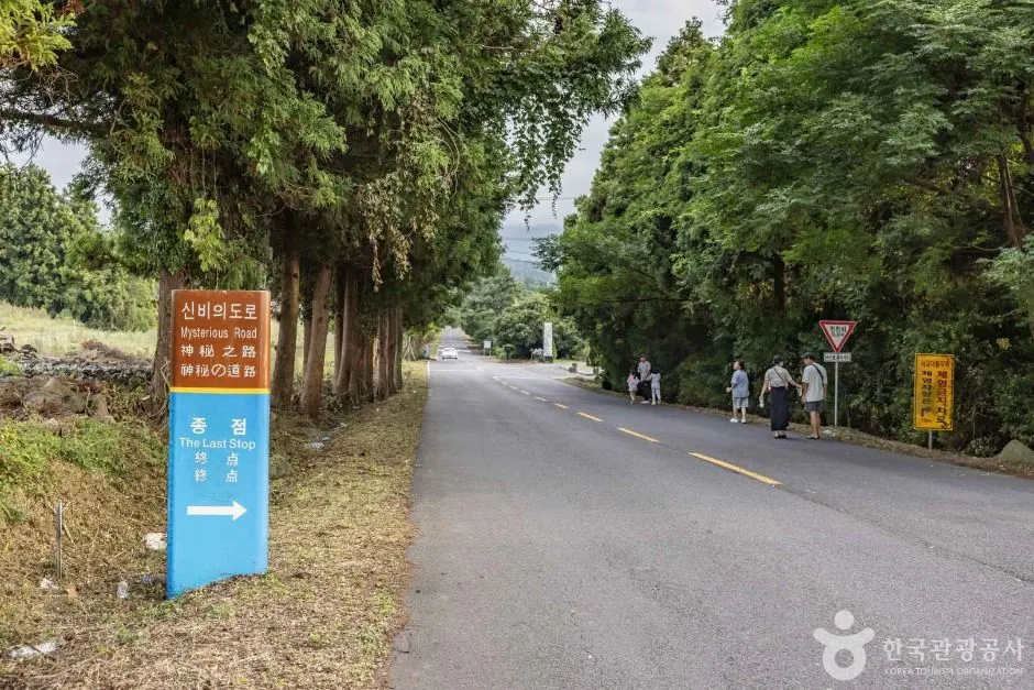신비의도로 · 촬영일 미상 자료사진