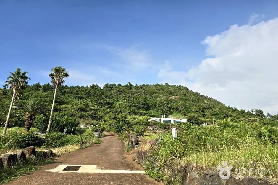 Dangsanbong Volcanic Cone (Dang Oreum Volcanic Cone, Chagwi Oreum Volcanic Cone) · 拍攝日期不詳的資料照片