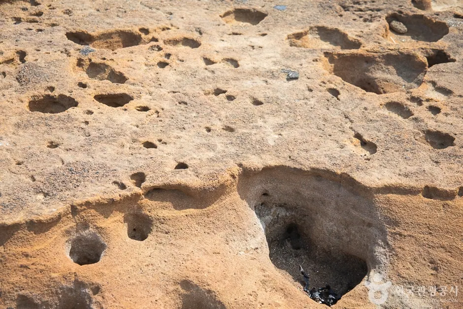 발자국화석공원 암석 표면의 발자국 화석 · 촬영일 미상 자료사진