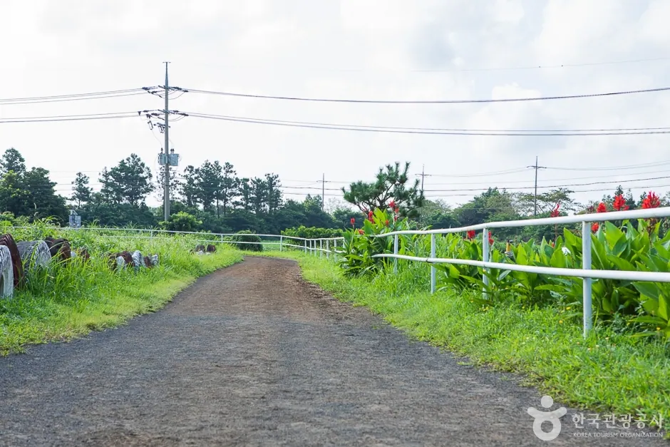 View Jeju Sky · 拍攝日期不詳的資料照片