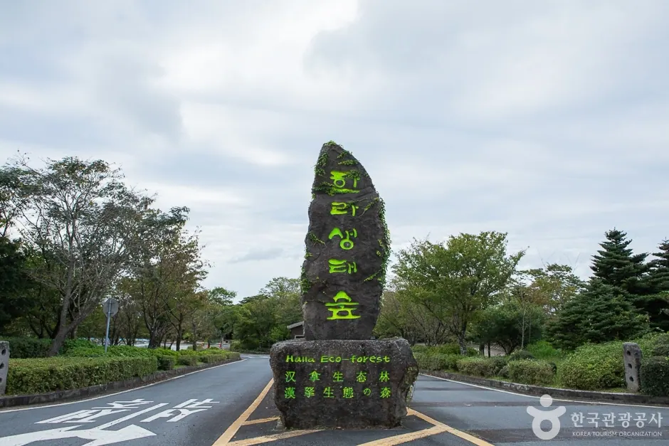 한라생태숲 · 촬영일 미상 자료사진