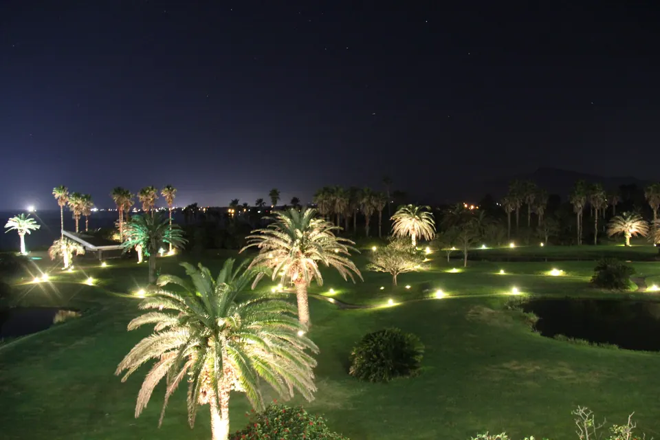 濟州夜空下,燈光照亮的棕櫚樹與草坪花園