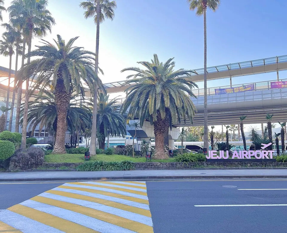 야자수와 고가 진입도로, JEJU AIRPORT 표지가 보이는 제주공항 외부