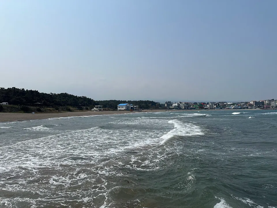 이호테우해수욕장 해안
