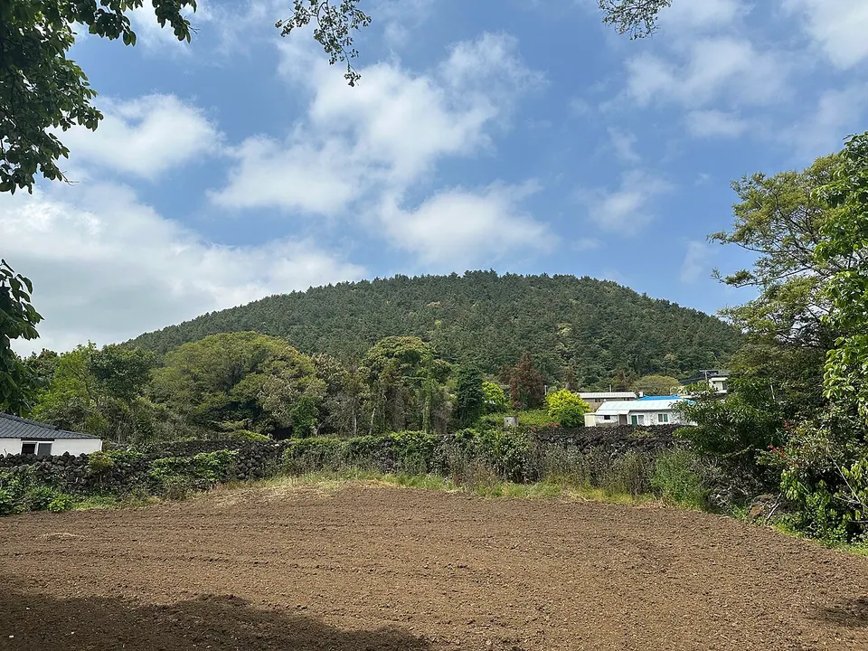저지오름 전경
