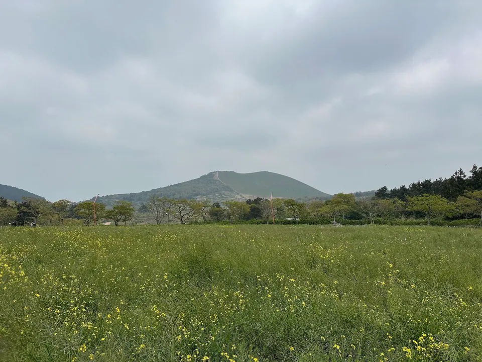 새별오름