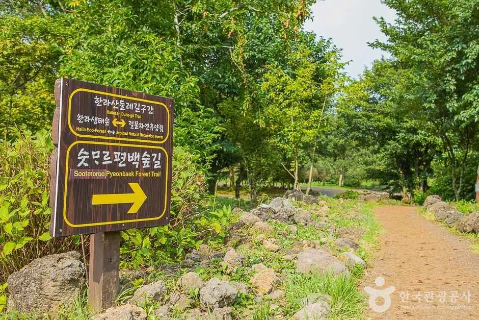 숫모르편백숲길 안내 표지와 숲길 · 촬영일 미상 자료사진